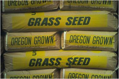 grass seed bags
